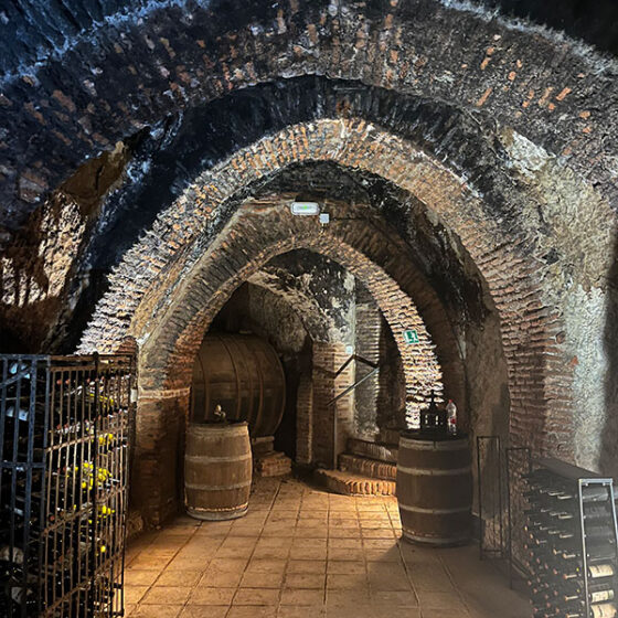Bodega con tradición, Bodegas Felix Sanz, en Rueda, fundada en 1934