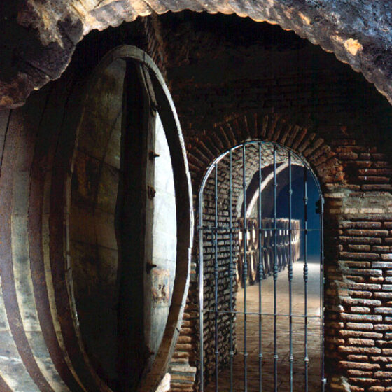 Bodega con tradición, Bodegas Felix Sanz, en Rueda, fundada en 1934