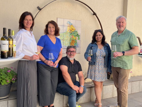 Bodega Felix Sanz. Enoturismo en Rueda Valladolid