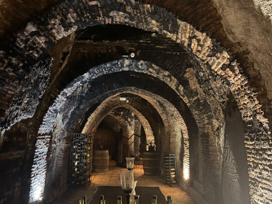 Bodega Felix Sanz. Imágenes de la bodega. Enoturismo en Rueda Valladolid