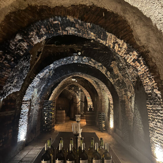 Bodega Felix Sanz. Imágenes de la bodega. Enoturismo en Rueda Valladolid