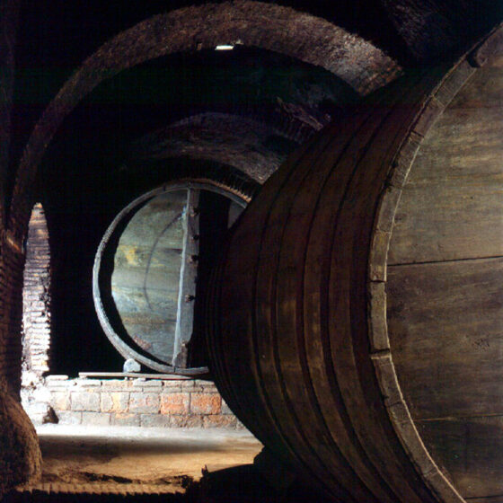 Bodega Felix Sanz. Imágenes de la bodega. Enoturismo en Rueda Valladolid