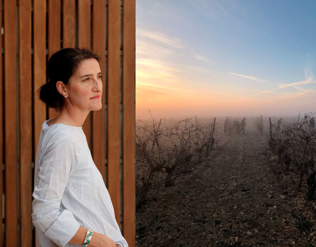 enóloga Bodegas Felix Sanz Pilar García Duque